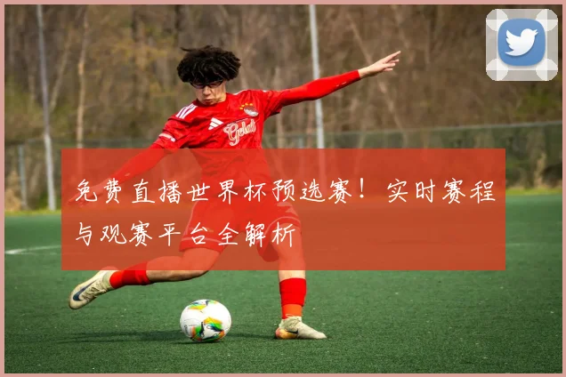 免费直播世界杯预选赛！实时赛程与观赛平台全解析