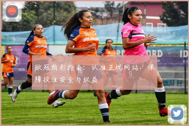 欧冠购彩指南：认准正规网站，保障投注安全与权益